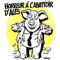 Horreur à l'abattoir d'Alès - par Babouse - octobre 2015