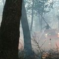 45 hectares de forêt ravagés par les flammes au Pian Médoc