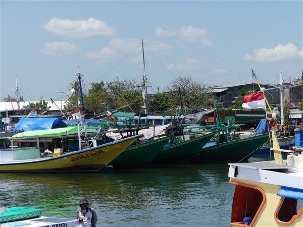 Voyage en Sulawesi - découverte du port de Makassar et de son bord de mer