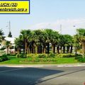 Rond-point à Auch