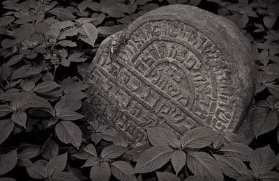 Cimetière Juif - Bedzin - Pologne