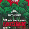 Un concert de soutien pour Brocéliande