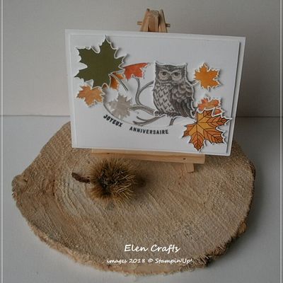 Carte Inspi Automne !
