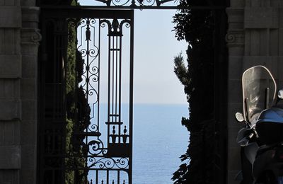 Sur les traces du jardin botanique Hanbury, en Italie