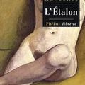 L'étalon ; David Herbert Lawrence