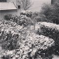 Mars 2013: tombe la neige...