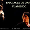 Duo Flamenco