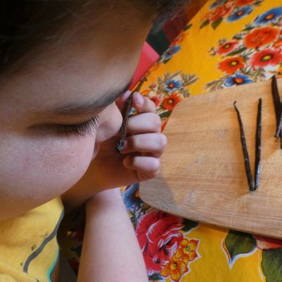 Petites leçon de choses: la vanille