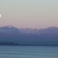 Province des Lacs. Volcan Puyehue...on a marche sur la lune...si, si...