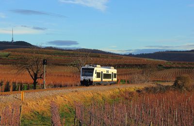 Allemagne : le RER à Freiburg im Breisgau en 2020