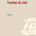 LIVRE : Tombé du Ciel (Heldere Hemel) de Tom Lanoye - 2013