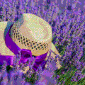 Un mariage parfait entre couleur et senteur