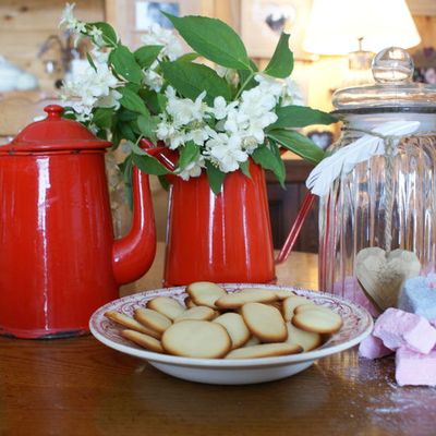 Seringa, Langues de chat et Guimauves ...