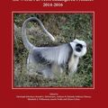 La nouvelle liste des 25 primates les plus menacés au monde dévoilée