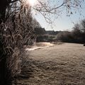 Le marais de Vermelles  (Pas-de-Calais)