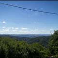 La Litanie des Cimes - Woodlands