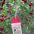 ♫ Le temps des Cerises ♥ CHERRIES ♥ Little House