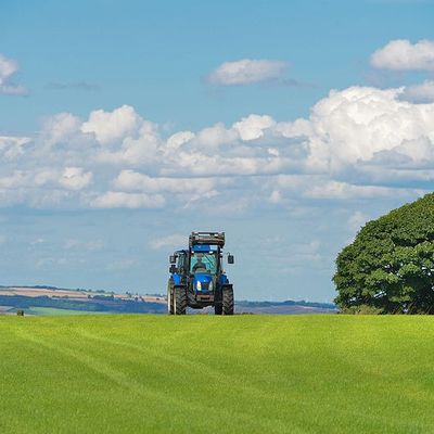 Agrivoltaïsme : cultiver l’énergie et la terre