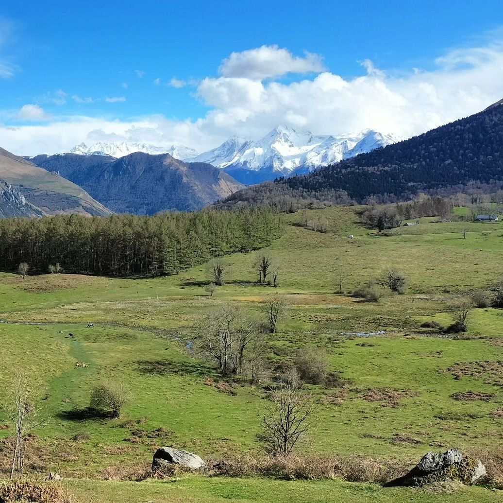 Plateau du Bénou, avril 2024, insta (64)