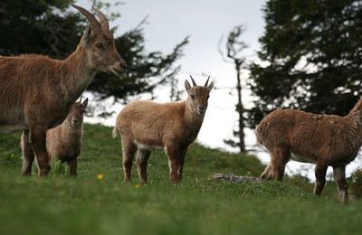 Ils étaient au rendez-vous!