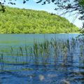 Les alentours de Champagnol - le lac de Chassain, la cascade du Hérisson et les pertes de l'Ain