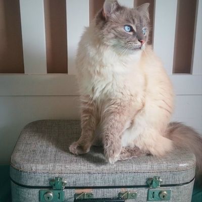 Allez, la valise est prête