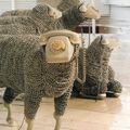 Dans mon univers... Il y a des moutons...Dans la ferme aussi...