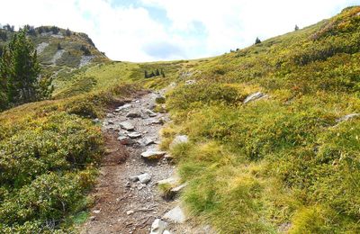 Des Hobbits dans les Pyrénées !