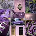 Violet, violette...
