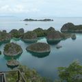 Raja Ampat en Papouasie Occidentale Noël 2019