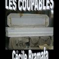 Les Coupables, de Cécile Bramafa