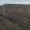 Visite au domaine Bastien Migeon à Châtel-Guyon