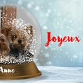 Joyeux Noël !