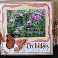 Orchidées