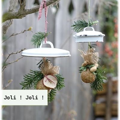 Nourrir les oiseaux 2026 - 2