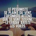 Le pessimiste...