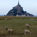 Mont Saint-Michel (50)