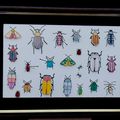 Beetles & Bugs - Drôles de bestioles