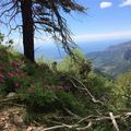 2016/08 Randonnée Castillon Col du Razet Grammondo