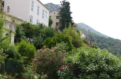 24 juillet 2021 - Vieux villages Corses