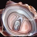 Agate from Botswana