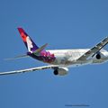 Aéroport: Toulouse-Blagnac(TLS-LFBO): Hawaiian Airlines: Airbus A330-243: N361HA: F-WWCH: MSN:1823. NEW LIVERY. FIRST FLIGHT.