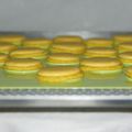 Macarons au café