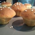 Brioche et briochettes