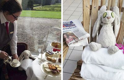 La petite histoire promise: le doudou oublié dans un hôtel en Irlande.