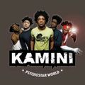 L'album de kamini
