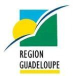 Région Guadeloupe: Table ronde autour du thème "Co-produire destination Guadeloupe"