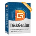 DiskGenius Professional v6.0.1.1645