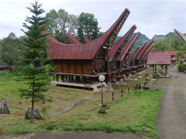 Voyage en Sulawesi - Visite de villages typiques Toraja et découverte des falaises de Lemo