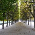 C'est du Jardin du Palais-Royal que je vous souhaite une agréable journée !